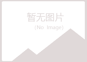 沙河口区冰夏建设有限公司